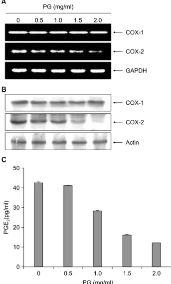 Fig.  4.  Inhibition  of  COX-2  expression  and  PGE 2   production  in human leukemia U937 cells after exposure to proteoglycan
