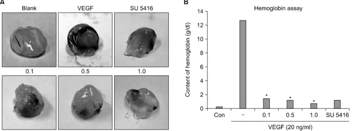 Fig. 1. The effect of crude extract of ark shell on in vivo angiogenesis. (A) Matrigel plugs were photographed (×40)