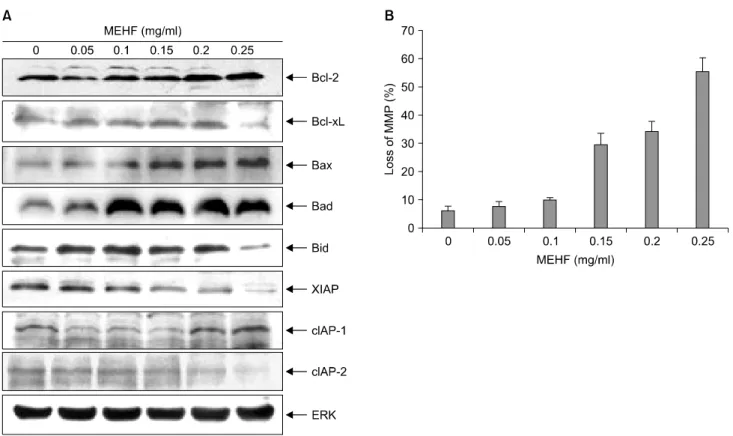 Fig. 5. Effects of MEHF on the levels of mitochondrial pathway related-gene products and mitochondria membrane potential (MMP)  in  NCI-H460  cells
