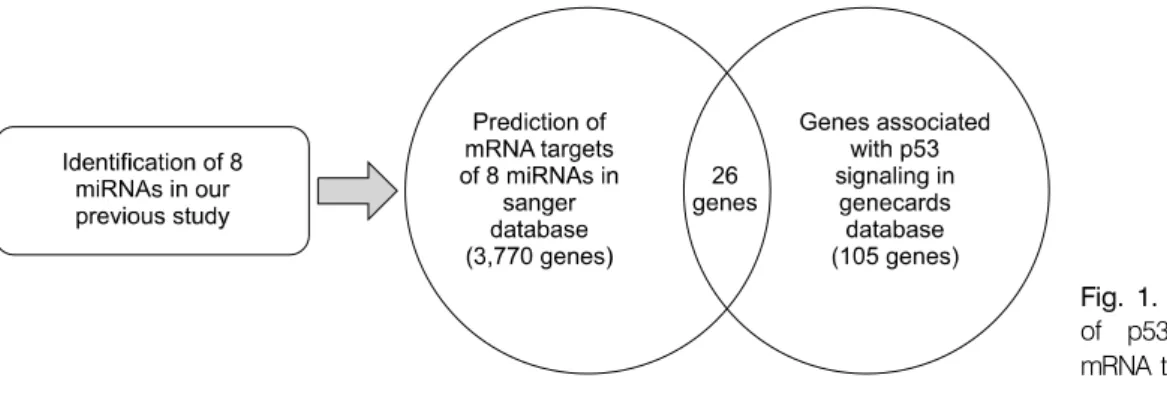 Fig. 1.  A  diagram  for  prediction  of  p53  associated  genes  in  mRNA  target  genes  of  8  miRNAs.