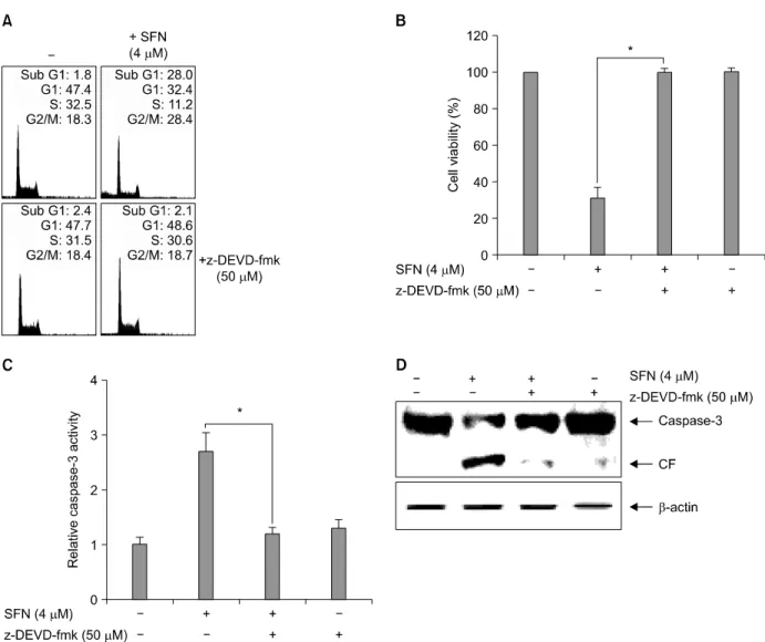 Fig. 4.  Caspase-3  inhibitor  z-DEVD-fmk  alleviates  SFN-induced  apoptosis  in  U937  cells