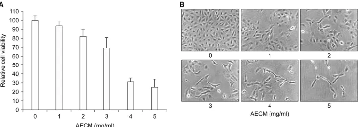 Fig. 1. Inhibition of proliferation and morphological changes of A549 human non-small-cell lung cancer cells following incubation  with  aqueous  extract  of  C