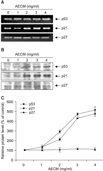 Fig. 5.  Induction  of  tumor  suppressor  p53  and  Cdk  inhibitor  p21 expression  by  AECM  treatment  in A549 cells
