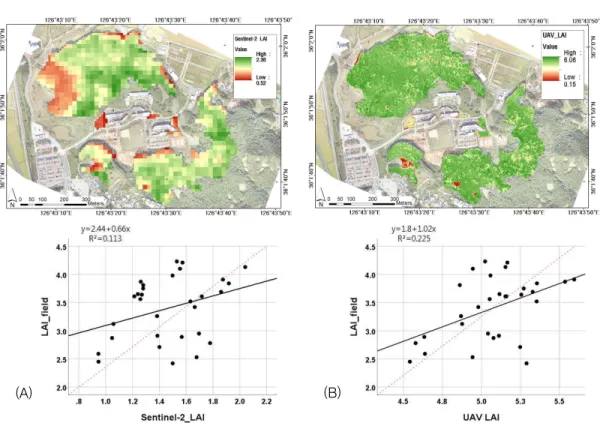 FIGURE  5.  Scatter  plot  between  LAI  measurements  data  and  (A)  Sentinel-2  LAI,  (B)  LAI UAV