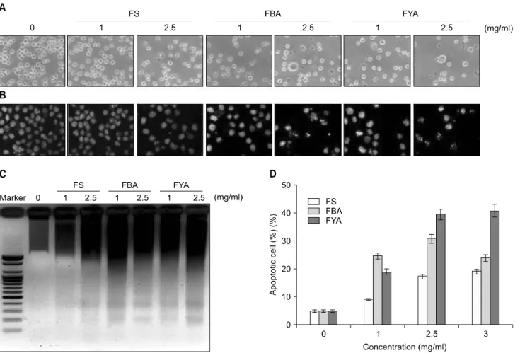Fig. 2. Apoptosis induction of U937 cells by ethanol extracts of fermented beans treatment