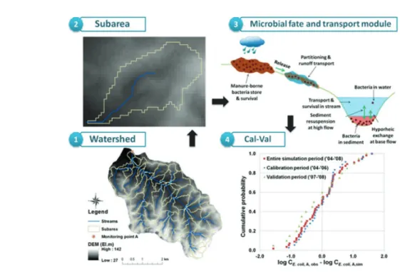 그림 4. Research procesure for microbial fate and transport module development (Hong et al., 2019)