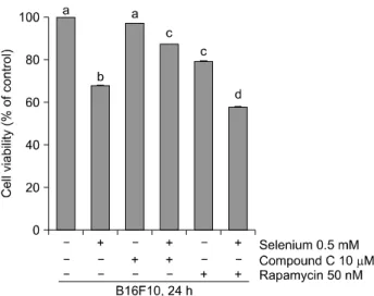 Fig. 4. Treatment of selenium, Compound C, and rapamycin. 