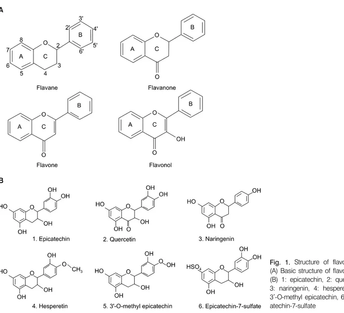 Fig. 1.  Structure  of  flavonoids: 