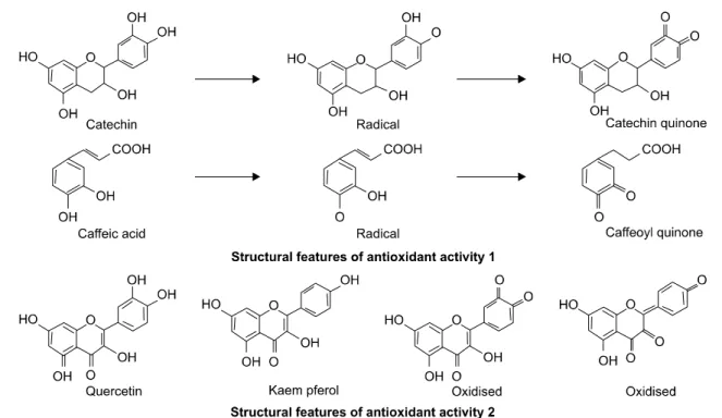 Fig. 4.  Oxidization  of  flavonoids.  Oxidation  of  catechin,  caffeic  acid,  quercetin,  and  kaempferol.