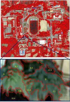FIGURE  18.  Result  of  image  classification(DMC  1)