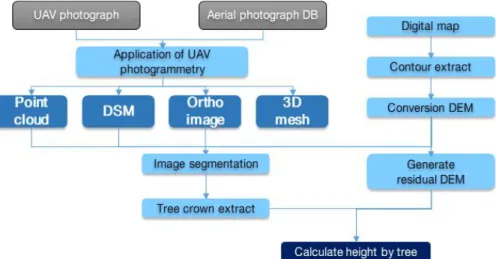FIGURE  1.  Study  flow
