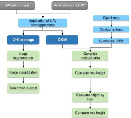FIGURE  13.  Tree  height  calculate  and  comparison  process