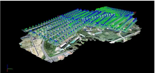 FIGURE  2.  Ortho  image  cartography