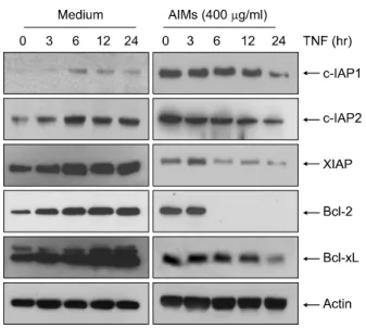 Fig. 2.  AIMs  suppressed  TNF-α-induced  NF-κB-regulated  proteins involved  in cancer proliferation