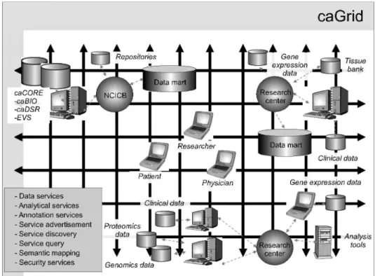 Fig. 1은 이러한 비전을 잘 보여 주고 있는데 격자형 (Grid)의 바탕무늬로 표현된 caBIG 환경 안에서 암과 연 관된 일체의 데이터가 환자, 의료인, 연구자들에게 공급 되고 활용되는 것을 개념적으로 표현한 것이다