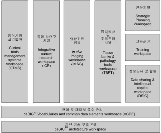 Fig. 2. Introducing the structure of the caBIG TM program.