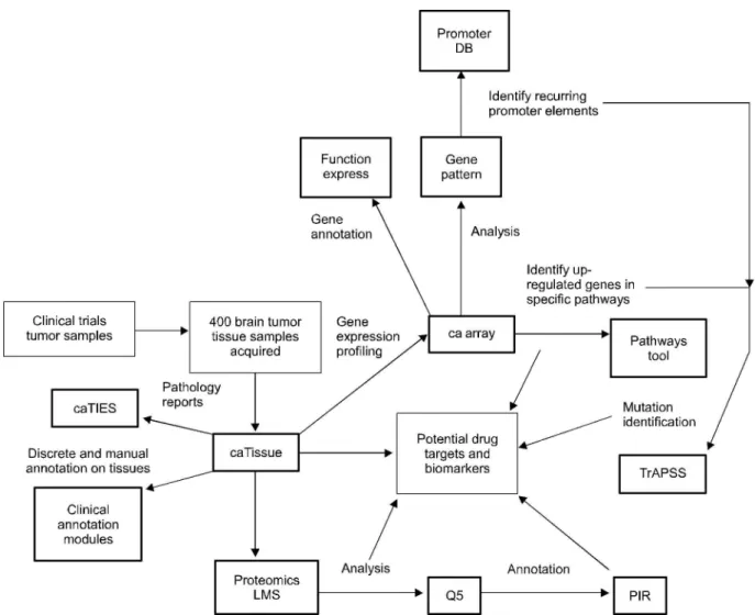 Fig. 6는 종합 암 연구 지원 분야(Integrated Cancer Re- Re-search)에서의 각 산출물간의 ‘이상적인’ 연동되는 과정 과 정보의 흐름을 보여 주고 있는데 그 중심적인 역할을 caArray가 하고 있는 것을 볼 수 있다