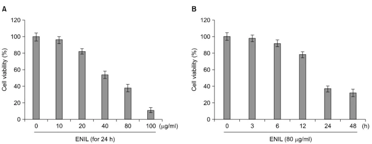 Fig. 1.  Effects  of  ENIL  on  the  cell  viability  of  Caki-1  human  renal  carcinoma  cells