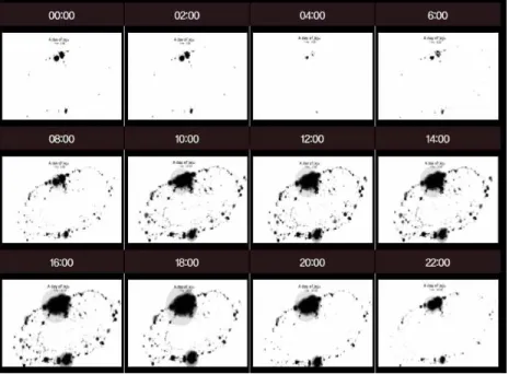FIGURE  5.  Dynamic  visualization  of  floating  population  data애니메이션3)은  정적인  여러  이미지를  빠르게 순차적으로  보여줌으로써  점차적인  시간의  흐름에  따른  변화를  볼  수  있게  해  주는  기술로 본  연구에서는  이를  활용하여  시간의  변화에 따른  실제적인  인구의  미시적  움직임에  대한 이해를  넓히기  위해  이와  같은  시각화  방법을 적용하였다.4
