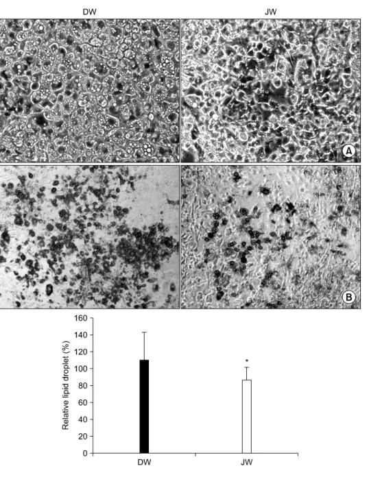 Fig. 2.  Effect  of  Jeju  waters  on  differentiation  of  3T3-L1   adipo-cytes.  (A)  Morphological  changes  were  photographed  the  cell  at  10  days  after  induction  of   differen-tiation  with  DW  or  Jeju  ground  waters,  respectively