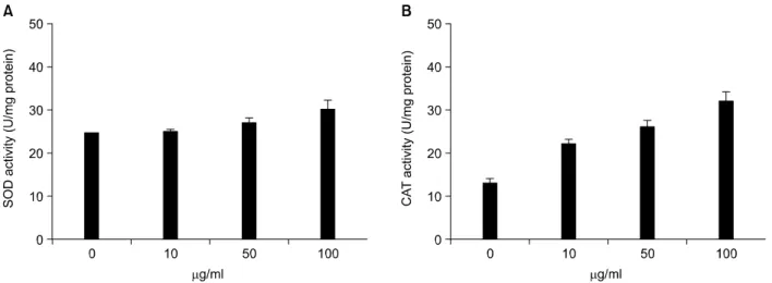 Fig. 5. Effects of water extract of mycelia on SOD (A) and CAT (B) activity in V79-4 cells