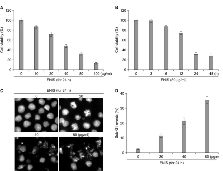 Fig. 1.  Inhibition  of  cell  growth  and  induction  of  apoptosis  by  ethanol  extract  of  N