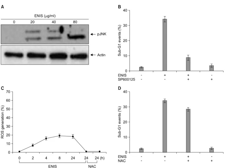 Fig. 5.  Effects  of  activation  of  JNK  and  generation  of  ROS  on  ENIS-induced  apoptosis  in  Caki-1  cells