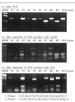 Fig. 4. Positive clones from library screening were subj- subj-ected to classification by PCR and restriction pattern.