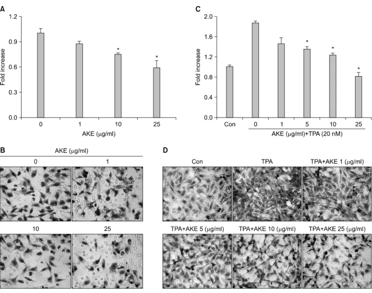 Fig. 1. AKE inhibits HT-1080 cell migration and TPA-induced invasion. (A) The inhibitory effect of AKE on the migration of HT-1080  cells