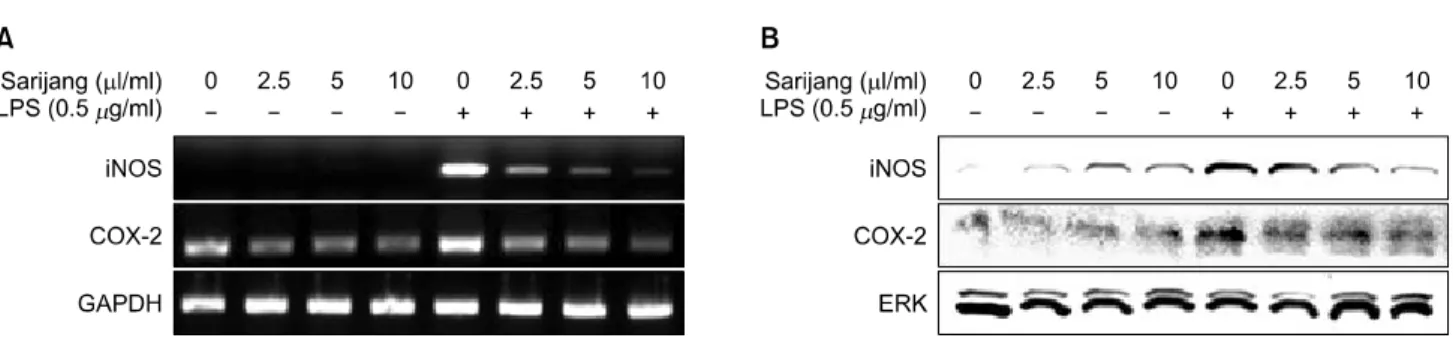 Fig. 3. Inhibitory effect of sarijang in LPS-induced NO and PGE 2   expression  in  BV2  microglia