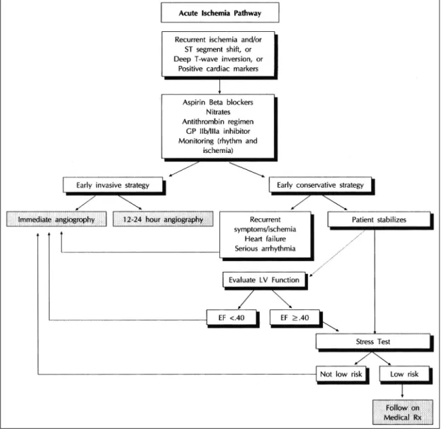 Fig. 6. Acute ischemia pathway. Reproduced with permission. ACC/AHA guidelines for the management of patients with unstable angina and non-ST segment elevation myocardial infarction：a report of the ACC/AHA Task Force on Practice Guidelines