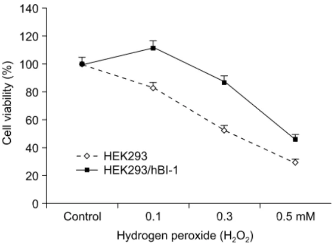 Fig. 2. Cell viability of H 2 O 2- treated HEK293 or HEK293/hBI-1 cells. HEK293 and HEK293/hBI-1 cells (1×10 5 ) were treated with various concentrations of H 2 O 2  (0.1, 0.3, 0.5 uM) for 24 hrs.