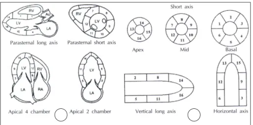Fig. 1. Diaphragmatic representation of the segmental division of the echocardiography (A) and SPECT (B) sli- sli-ces using the 16-segment model