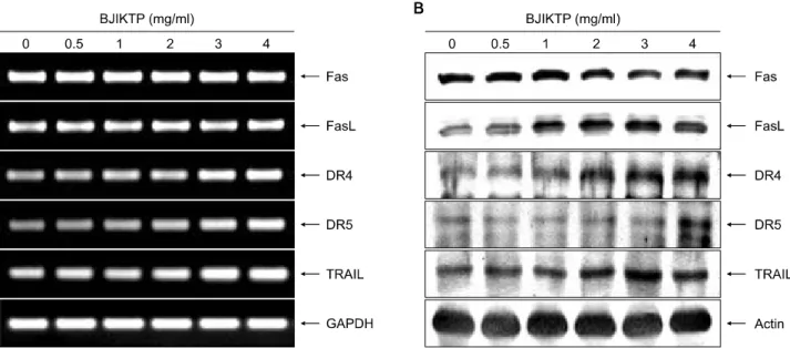 Fig. 8.  Effects  of  BJIKTP  on  the  death  receptor-related  members  in  A549  cells