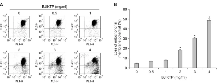 Fig. 4.  Loss  of  MMP  values  by  BJIKTP  in  A549  cells.  (A)  After  incubation  with  various  concentrations  of  BJIKTP  for  48  h,  cells  were  stained  with  JC-1  and  then  incubated  at  37 o C  for  20  min,  after  which  the  mean  JC-1  