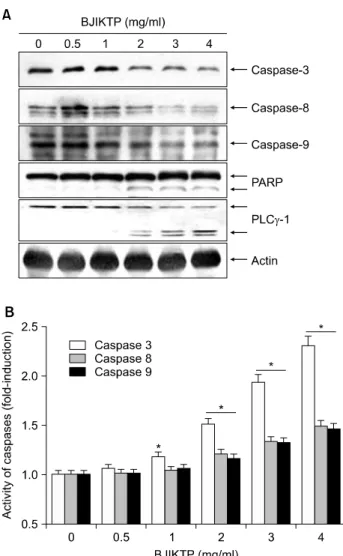 Fig. 5.  Activation  of  caspases  by  BJIKTP  in  A549  cells.  (A)  Cells  were  treated  with  the indicated  conditions  of BJIKTP  for  48  h
