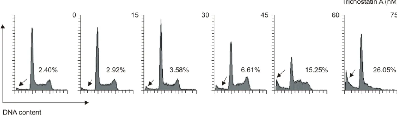 Table 2. Fractions of each cell cycle phase of U937 cells cultured in the presence or absence of various concentrations of TSA