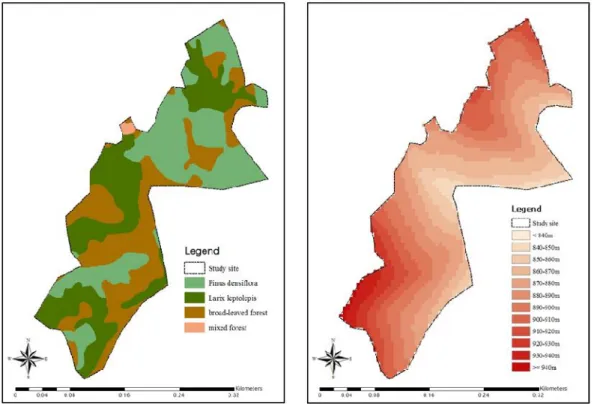 FIGURE 1.  Tree species(left)  and  elevation  distribution(right) of study site료를  이용하여  단순림을  대상으로  수목  개체의 