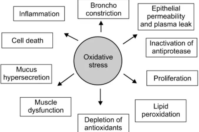 Fig. 2. Oxidative stress-mediated lung injury and inflammation  lead-ing to lung cancer.