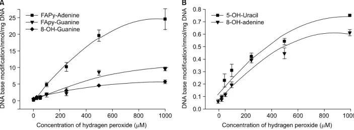 Fig. 4. Effect of hydrogen peroxide on DNA in human respiratory tract epithelial cells