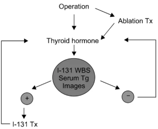 Fig. 1. Scheme of management in patients with differentiated thyroid  carcinoma. 량의  방사성요오드  치료를  시작하였다 