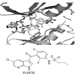 Fig.  5.  Structures  of  PLX4720.  This  figure  was  reproduced form  Proc  Natl  Acad  Sci  U  S  A,  2008