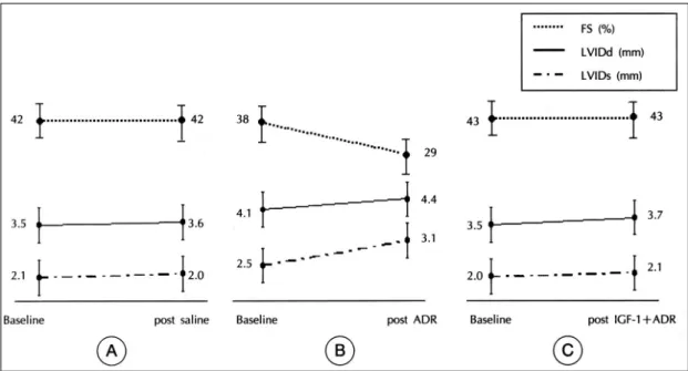 Fig. 3. Hemodynamic and morphologic changes in mice treated with saline (A), ADR alone (B), and IGF-1 and ADR (C)