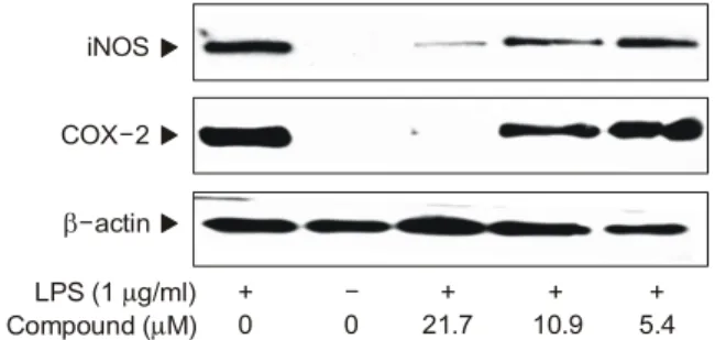 Fig. 5. Dose-dependent inhibition of compound 2n on LPS-  induced NO production. 