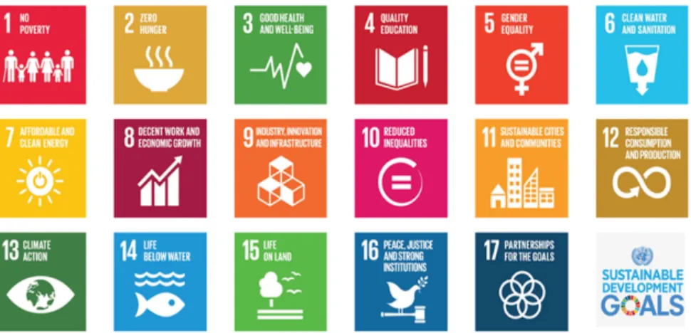 그림 3. 2015 9월 UN에서 제시된 17개의 지속가능개발 목표(Sustainable Development Goals: SDGs)