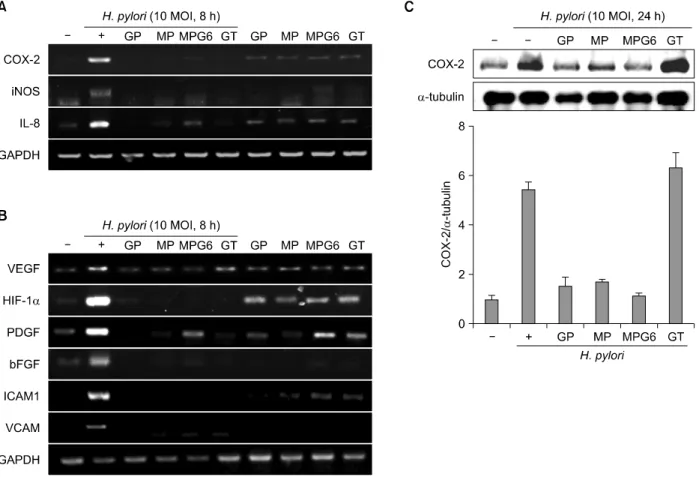 Fig. 2.   Inhibitory  effects  of  the  polysaccharides  on  the  expression  of  inflammatory  mediators  in  H