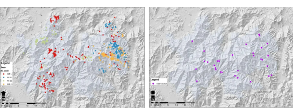 FIGURE 3.  Locations of  Asiatic black bear FIGURE 4. Locations of  Asiatic black bear den 으로  서식지에  적응하고  있는  개체로  위치  추적  자료  684개를  바탕으로  제작하였다(그림  3)