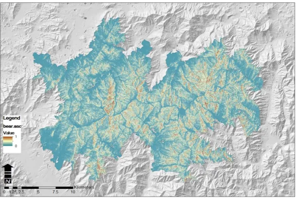 FIGURE  6.  Hibernating  place  suitable  area of Asiatic black  bear in Jirisan2.  반달가슴곰  동면지역  적합성  평가   반달가슴곰  서식지  평가와  마찬가지로  GIS를 사용하여  제작한  환경요인의  공간주제도  9개와 동면  장소  자료에  최대  엔트로피  모델  알고리즘을  적용하여  적합성을  평가하였다