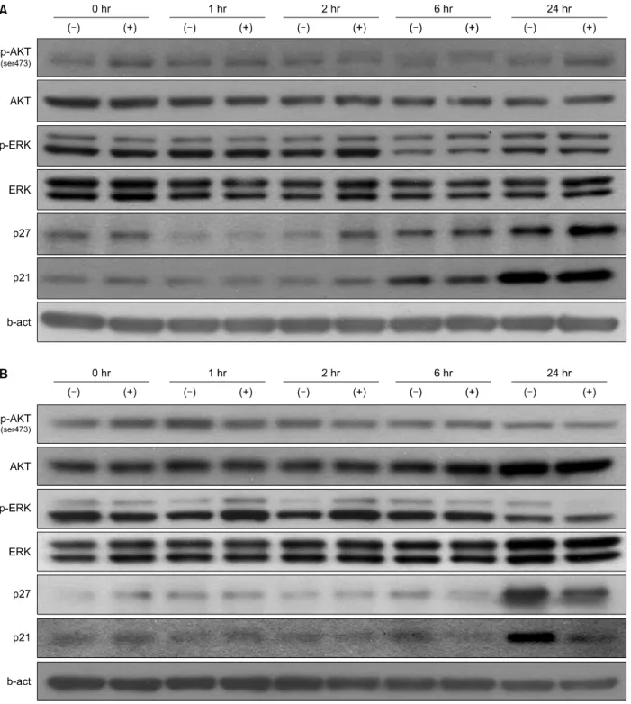 Fig.  5.  Effect  of  Sunitinib  on  activation  of  p21 Waf1/Cip1 ,  p27 Kip1   and  AKT,  ERK  in  NPA  and  TPC-1  cells