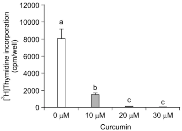 Fig.  2.  Effect  of  curcumin  on  [ 3 H]thymidine  incorpora- incorpora-tion  in  MCF-7  cells